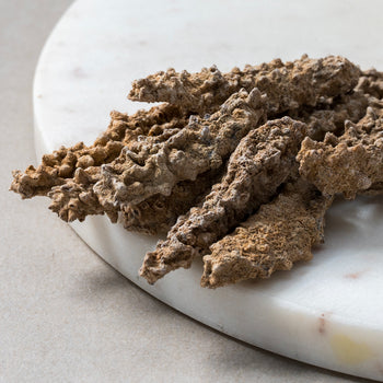 Belian®新西兰南岛纽金刺参 - 小号250克 - PullmoonNZ