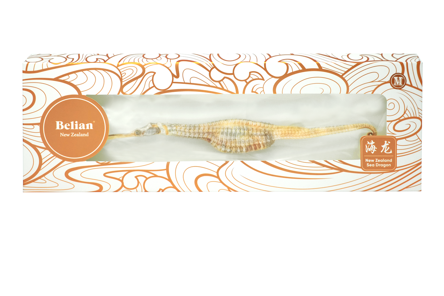 New Zealand Wild Sea Dragon | 新西兰野生海龙 - 中号 (20.1-30g)