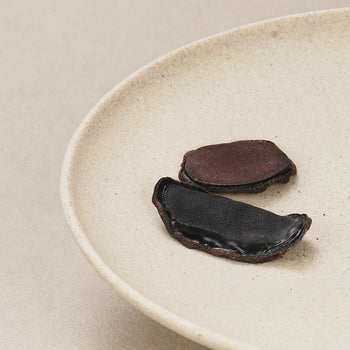 New Zealand Red Deer Antler Powder Slices | 新西兰红鹿茸粉片（75克）