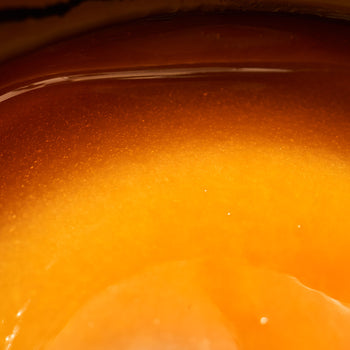 New Zealand MGO600+ Pure Manuka Honey | 新西兰MGO600+纯麦卢卡蜂蜜（500克）
